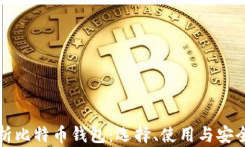 全面解析比特币钱包:选择、使用与安全性指南