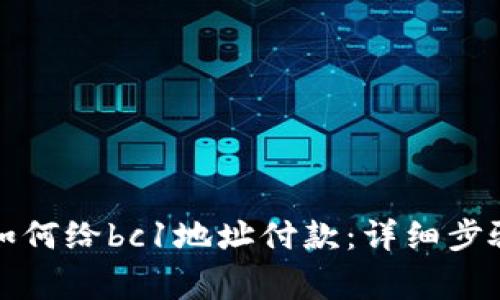 比特币钱包如何给bc1地址付款:详细步骤和注意事项