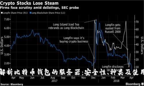 全面解析比特币钱包的服务器：安全性、种类及使用指南