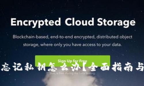 tpwallet忘记私钥怎么办？全面指南与解决方案