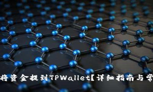 如何便捷地将资金提到TPWallet？详细指南与常见问题解答