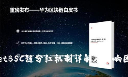 tpwalletBSC链分红机制详解及影响因素解析