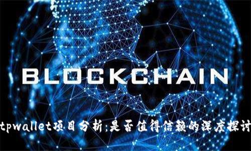 tpwallet项目分析：是否值得信赖的深度探讨
