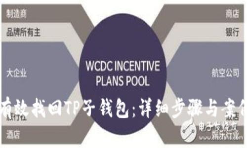 如何有效找回TP子钱包:详细步骤与案例分析