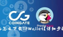 安卓设备怎么下载TPWallet？详细步骤与技巧