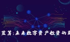 Web3蓝筹：未来数字资产投