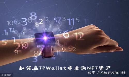 如何在TPWallet中查询NFT资产