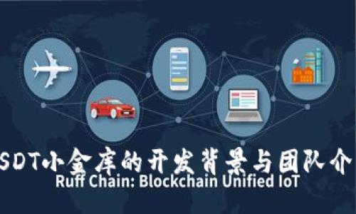 USDT小金库的开发背景与团队介绍